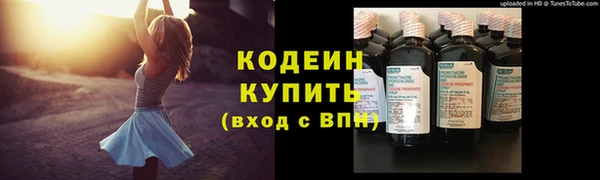 индика Богданович